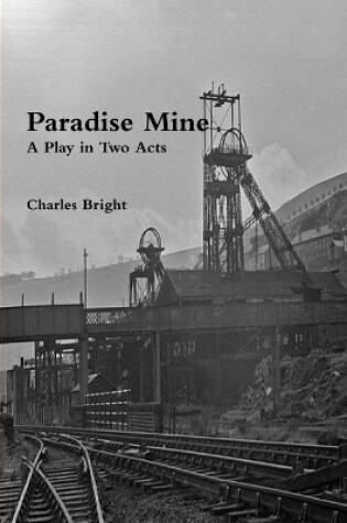 Cover of Paradise Mine