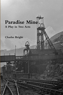 Book cover for Paradise Mine