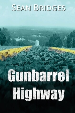 Cover of Gunbarrel Highway