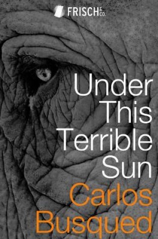 Cover of Under This Terrible Sun