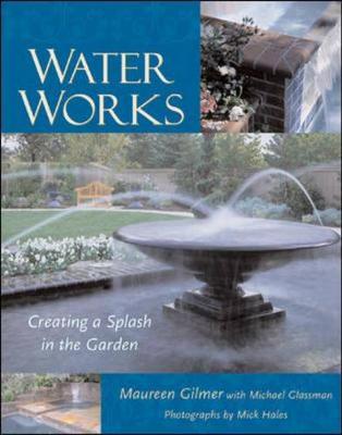 Book cover for Water Works