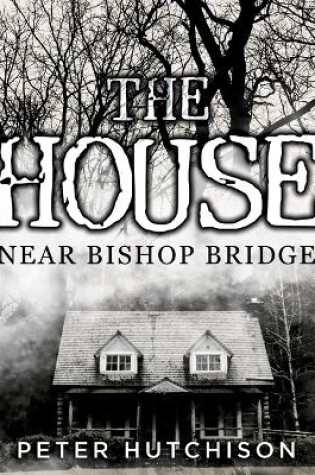 Cover of The House Near Bishop Bridge