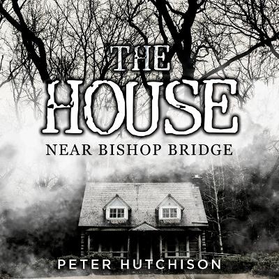 Book cover for The House Near Bishop Bridge