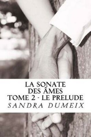 Cover of La sonate des ames