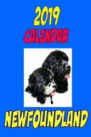 Cover of 2019 Calendar Newfoundland