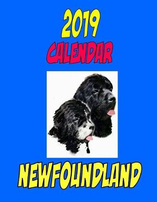 Book cover for 2019 Calendar Newfoundland