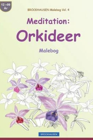 Cover of BROCKHAUSEN Malebog Vol. 4 - Meditation