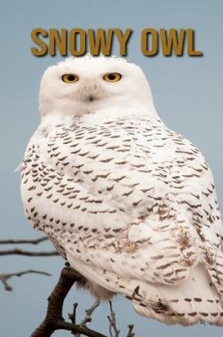 Cover of Snowy owl