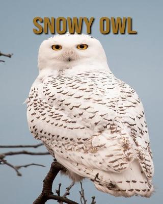 Book cover for Snowy owl