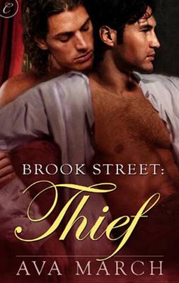 Book cover for Thief
