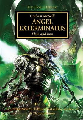 Book cover for Angel Exterminatus