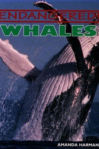 Cover of Whales