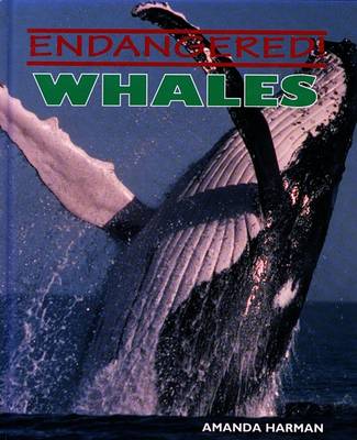 Book cover for Whales