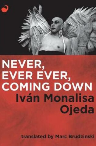 Cover of Never, Ever Ever, Coming Down