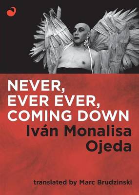 Book cover for Never, Ever Ever, Coming Down