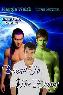 Book cover for Bound To The Enemy