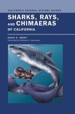 Cover of Sharks, Rays, and Chimaeras of California