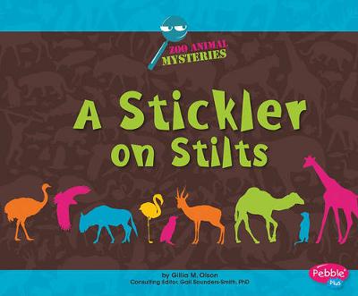 Book cover for A Stickler on Stilts