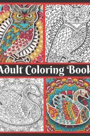 Cover of Adult Coloring Book