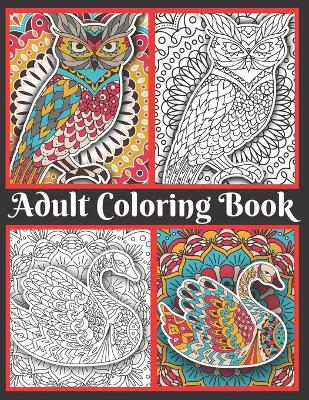 Book cover for Adult Coloring Book