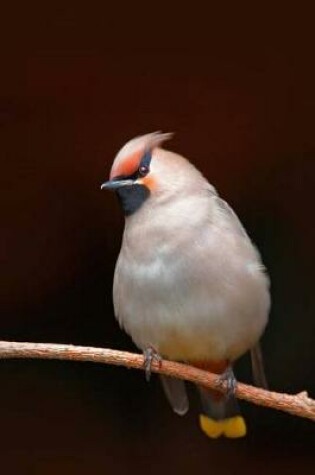 Cover of Waxwing (Bombycilla Gamulus) Bird Journal