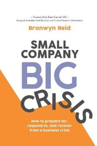 Cover of Small Company Big Crisis