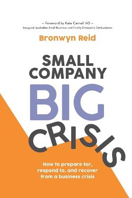 Book cover for Small Company Big Crisis