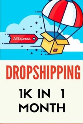 Book cover for Dropshipping