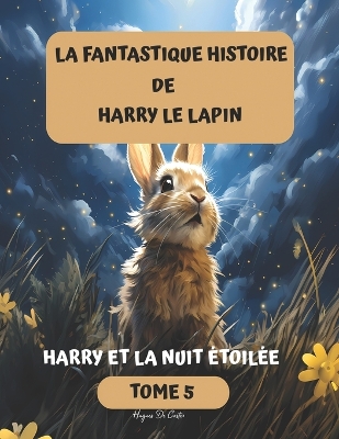 Book cover for Harry et la nuit étoilée