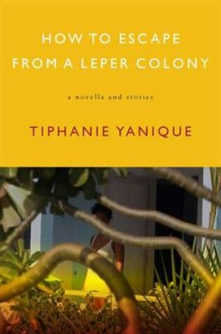 Cover of How to Escape from a Leper Colony