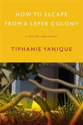 Book cover for How to Escape from a Leper Colony