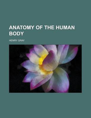 Book cover for Anatomy of the Human Body