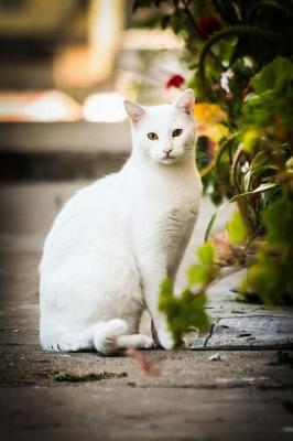 Book cover for Elegant White Cat Pet Journal