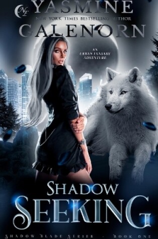 Cover of Shadow Seeking