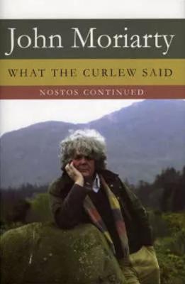 Book cover for What The Curlew Said