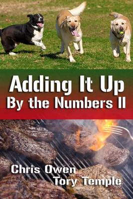 Book cover for Adding It Up - By the Numbers II