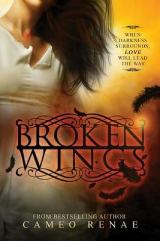 Cover of Broken Wings