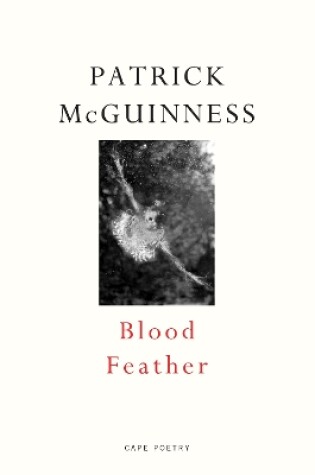 Cover of Blood Feather