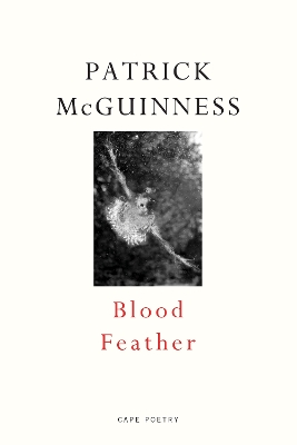 Book cover for Blood Feather