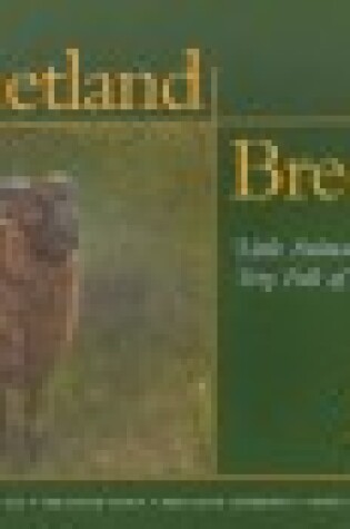 Cover of Shetland Breeds