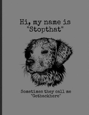 Book cover for Hi, My Name Is "Stopthat" Sometimes The Call Me "Getbackhere"