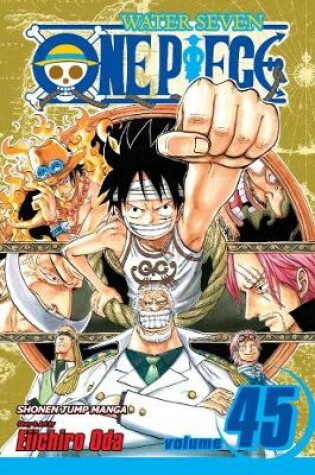 Cover of One Piece, Vol. 45