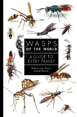 Cover of Wasps of the World