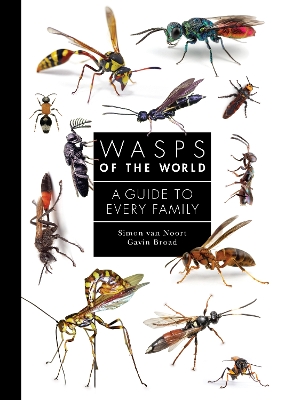 Book cover for Wasps of the World