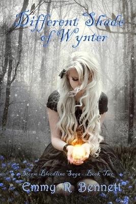 Book cover for Different Shade of Wynter