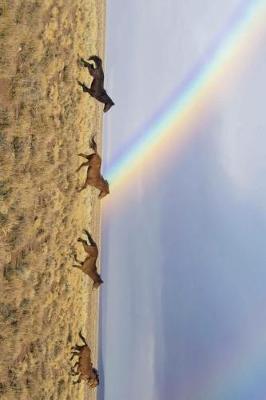 Book cover for Wild Horses and a Rainbow Journal