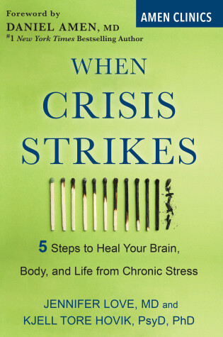 Cover of When Crisis Strikes