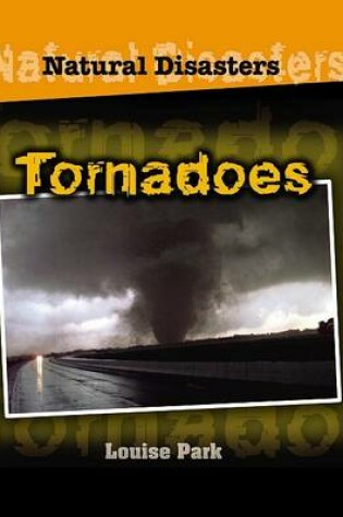 Cover of Us Tornadoes Natural Disasters