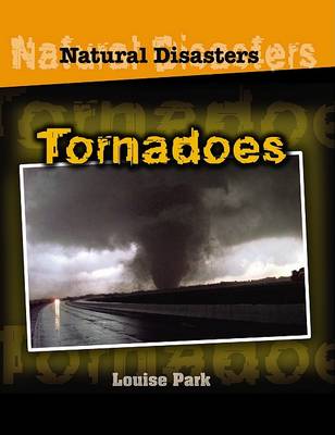 Book cover for Us Tornadoes Natural Disasters