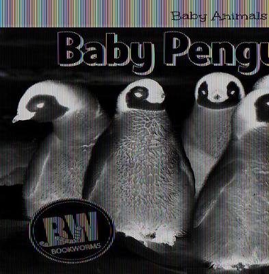 Book cover for Baby Penguins